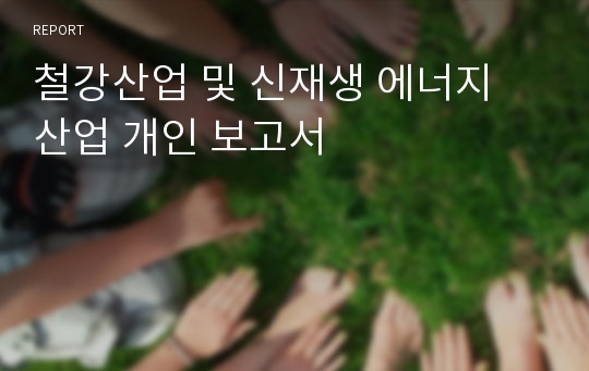 철강산업 및 신재생 에너지 산업 개인 보고서