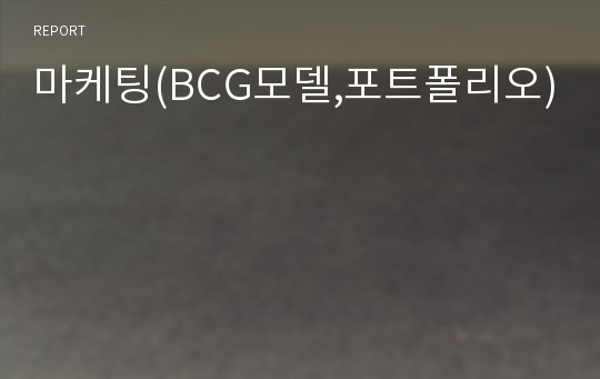 마케팅(BCG모델,포트폴리오)