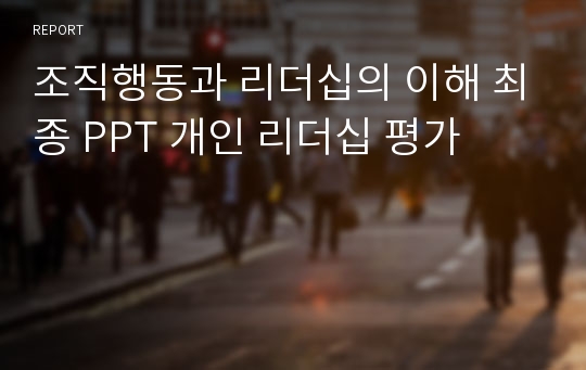 조직행동과 리더십의 이해 최종 PPT 개인 리더십 평가