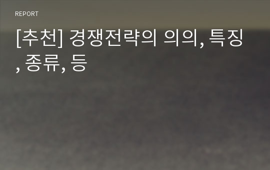 [추천] 경쟁전략의 의의, 특징, 종류, 등