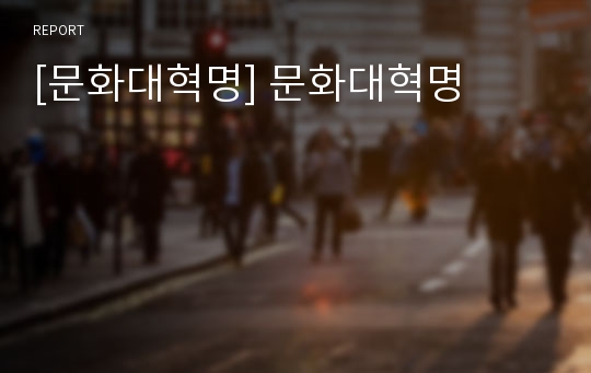 [문화대혁명] 문화대혁명