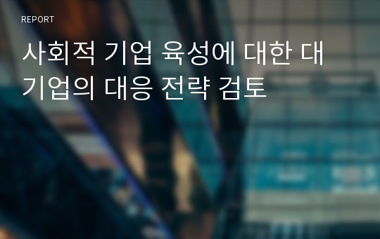 사회적 기업 육성에 대한 대기업의 대응 전략 검토