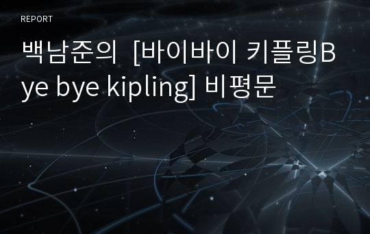 백남준의  [바이바이 키플링Bye bye kipling] 비평문