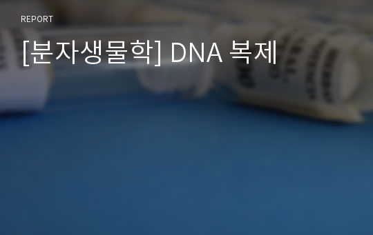 [분자생물학] DNA 복제