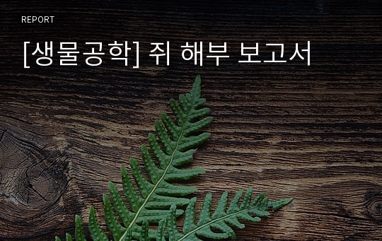 [생물공학] 쥐 해부 보고서