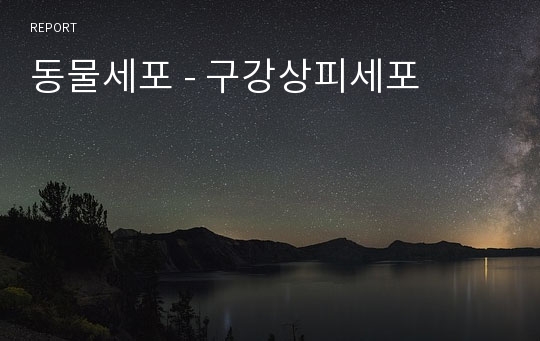 동물세포 - 구강상피세포