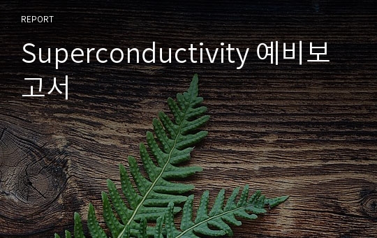 Superconductivity 예비보고서