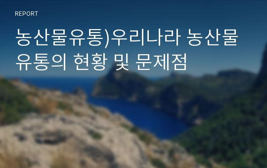 농산물유통)우리나라 농산물 유통의 현황 및 문제점