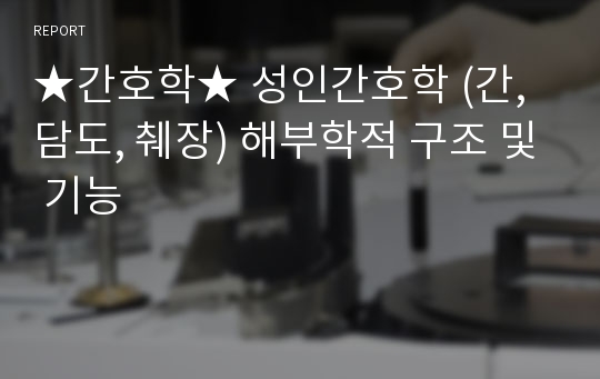 ★간호학★ 성인간호학 (간, 담도, 췌장) 해부학적 구조 및 기능