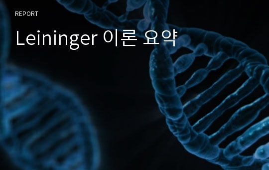 Leininger 이론 요약