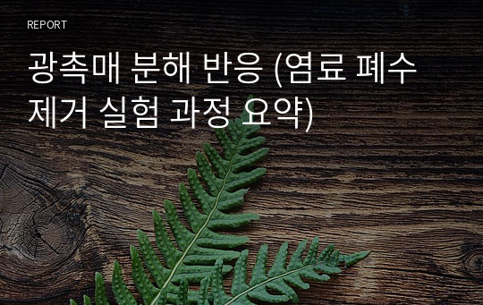 광촉매 분해 반응 (염료 폐수 제거 실험 과정 요약)