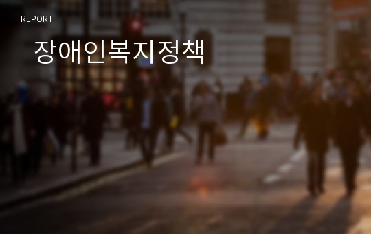   장애인복지정책