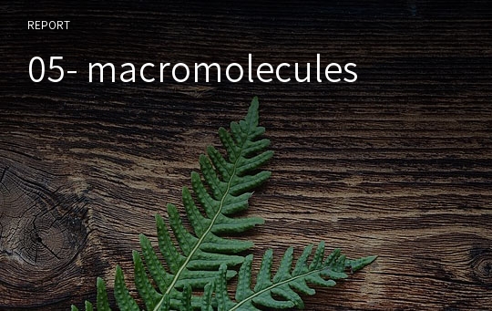 05- macromolecules