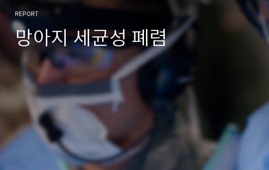 망아지 세균성 폐렴