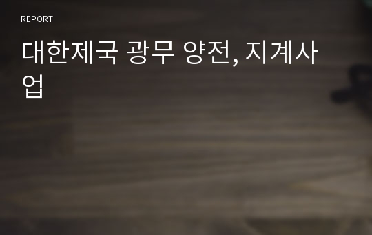 대한제국 광무 양전, 지계사업