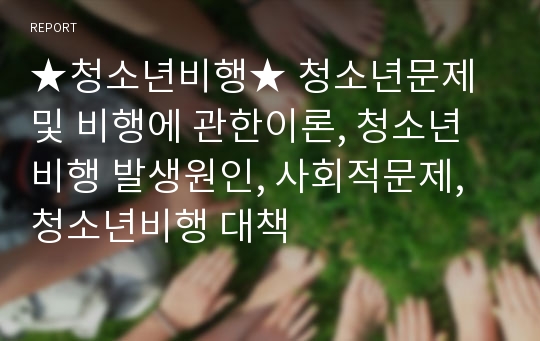 ★청소년비행★ 청소년문제 및 비행에 관한이론, 청소년비행 발생원인, 사회적문제, 청소년비행 대책