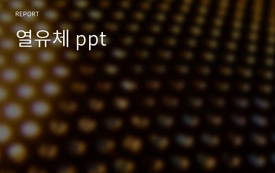 열유체 ppt