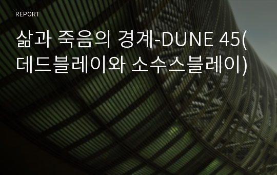 삶과 죽음의 경계-DUNE 45(데드블레이와 소수스블레이)