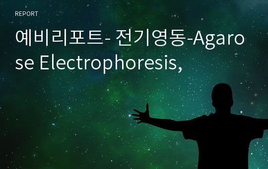 예비리포트- 전기영동-Agarose Electrophoresis,