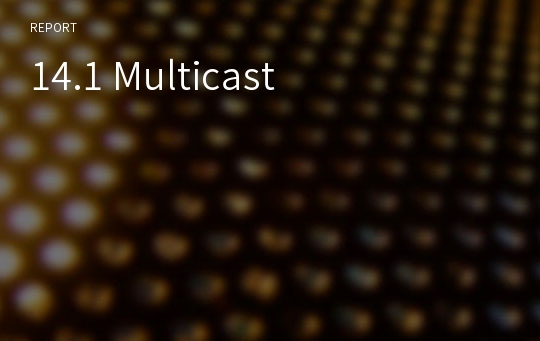 14.1 Multicast