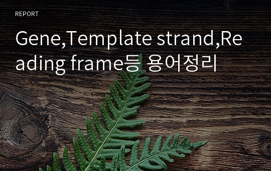 Gene,Template strand,Reading frame등 용어정리