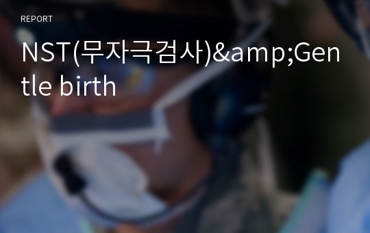 NST(무자극검사)&amp;Gentle birth