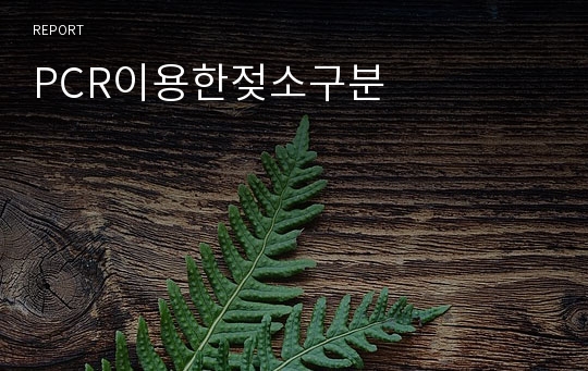 PCR이용한젖소구분