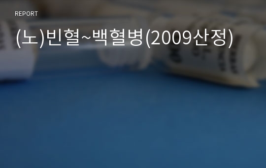 (노)빈혈~백혈병(2009산정)