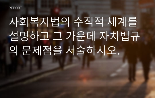 사회복지법의 수직적 체계를 설명하고 그 가운데 자치법규의 문제점을 서술하시오.