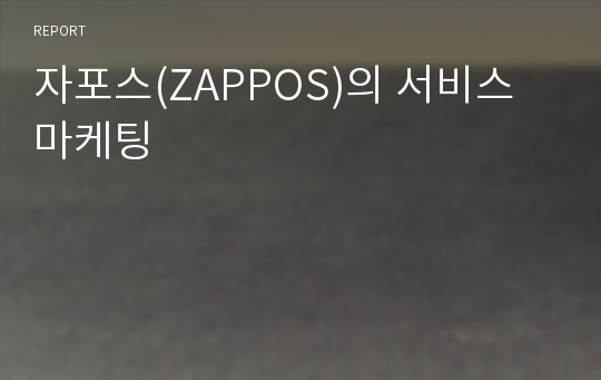 자포스(ZAPPOS)의 서비스마케팅