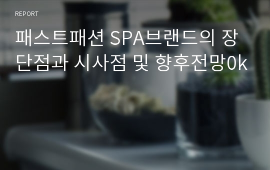 패스트패션 SPA브랜드의 장단점과 시사점 및 향후전망0k