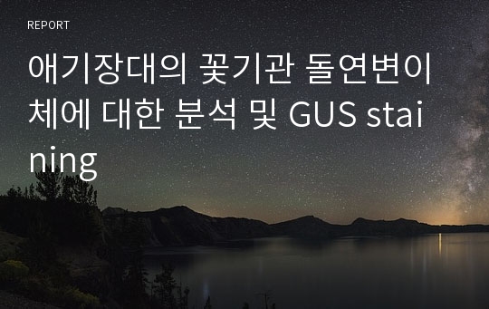 애기장대의 꽃기관 돌연변이체에 대한 분석 및 GUS staining