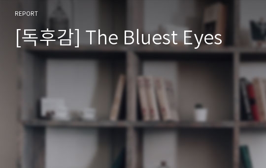 [독후감] The Bluest Eyes