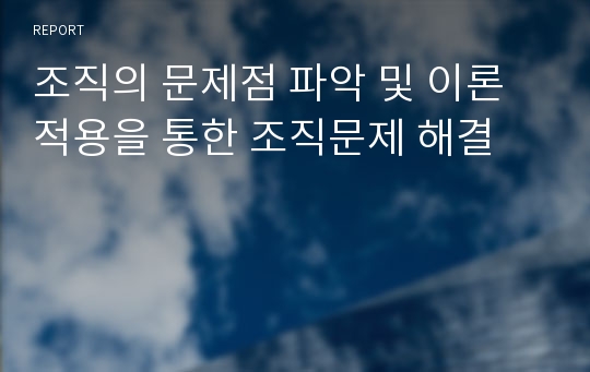 조직의 문제점 파악 및 이론 적용을 통한 조직문제 해결