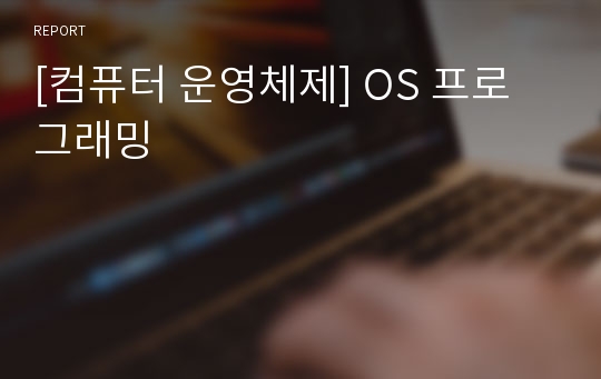 [컴퓨터 운영체제] OS 프로그래밍