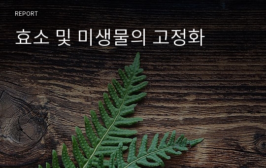 효소 및 미생물의 고정화