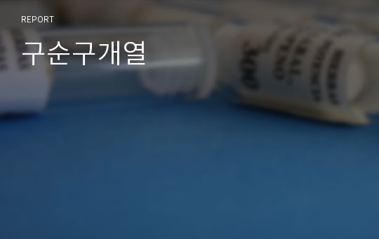 구순구개열