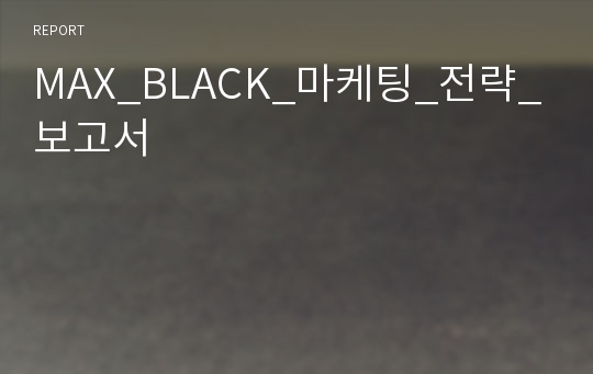 MAX_BLACK_마케팅_전략_보고서