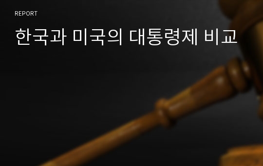 한국과 미국의 대통령제 비교