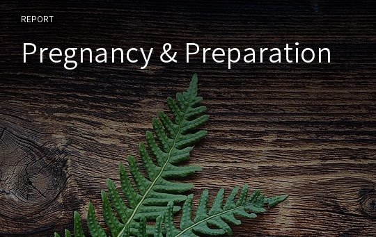 Pregnancy &amp; Preparation