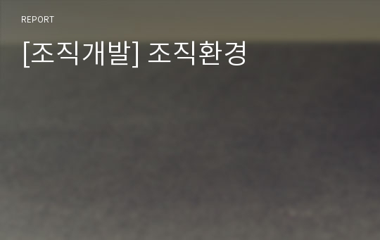 [조직개발] 조직환경