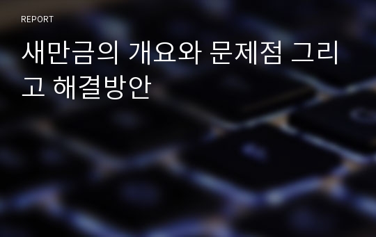 새만금의 개요와 문제점 그리고 해결방안