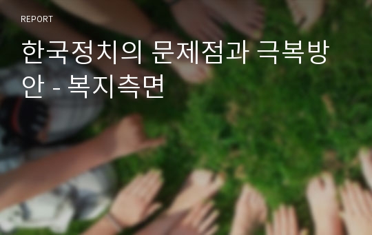 한국정치의 문제점과 극복방안 - 복지측면