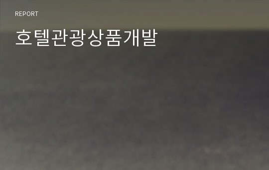 호텔관광상품개발