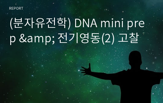 (분자유전학) DNA mini prep &amp; 전기영동(2) 고찰