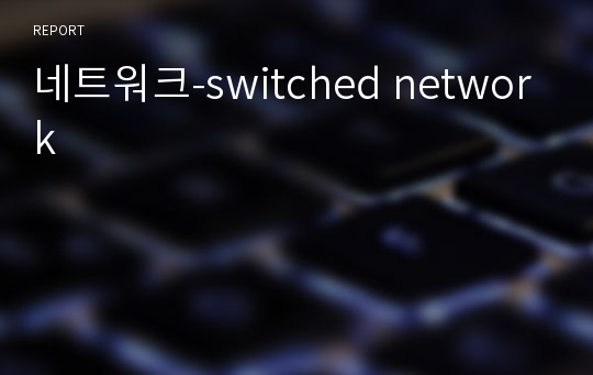 네트워크-switched network