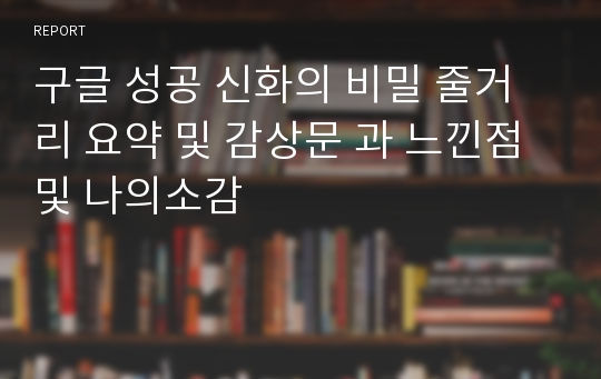 구글 성공 신화의 비밀 줄거리 요약 및 감상문 과 느낀점 및 나의소감