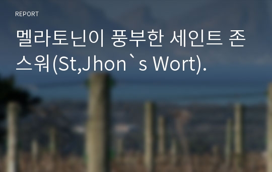 멜라토닌이 풍부한 세인트 존스워(St,Jhon`s Wort).