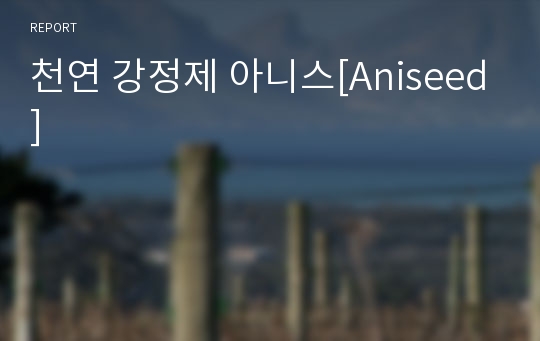 천연 강정제 아니스[Aniseed]
