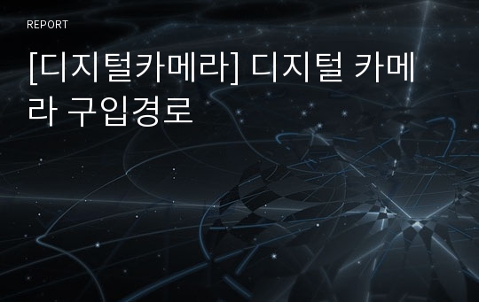 [디지털카메라] 디지털 카메라 구입경로